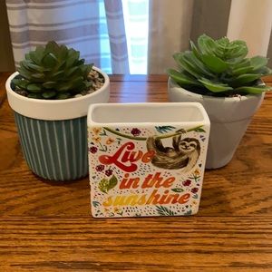 Sloth pencil holder with 2 succulents